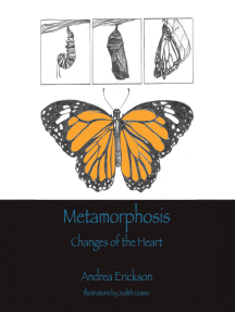 Metamorphosis: Changes of the Heart — by Andrea Erickson